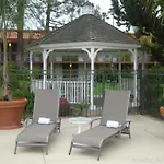 Palm Garden Hotel 